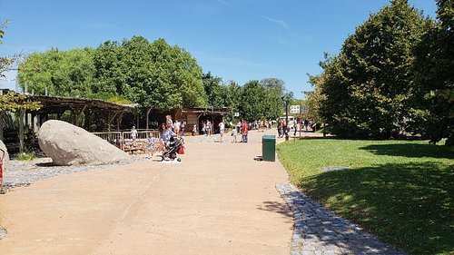 20190302-124738-largejpg